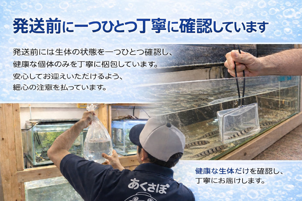 発送前確認