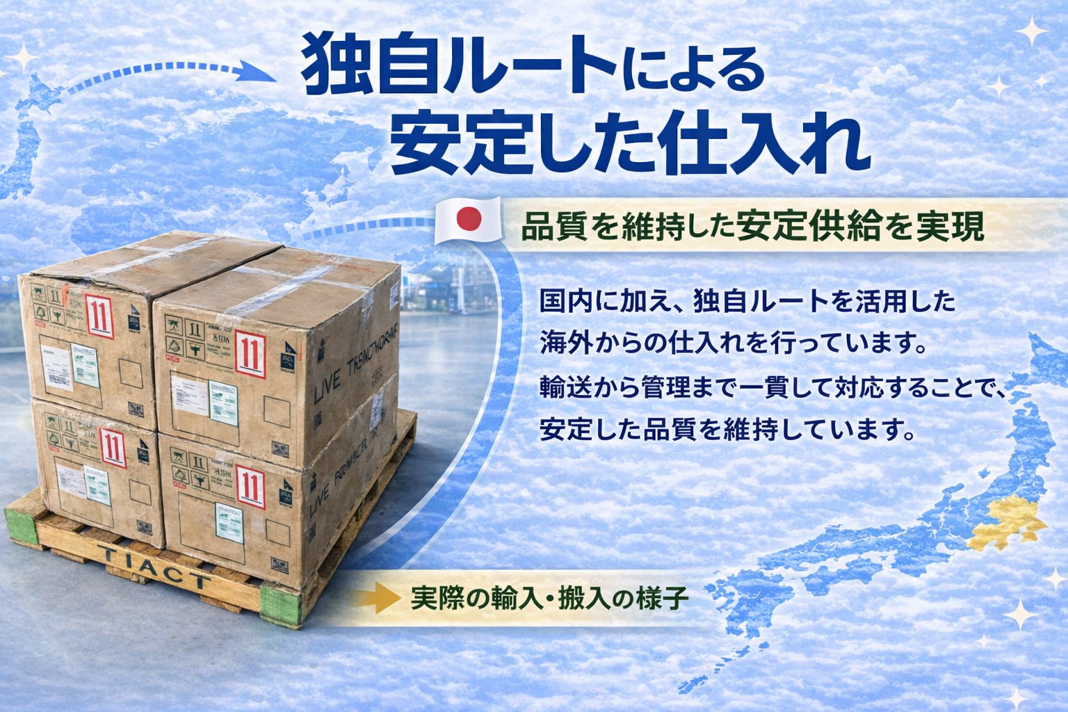 観賞魚との時間をもっと身近に