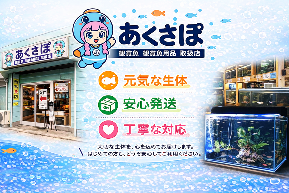 あくさぽ紹介