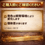 KS-K89I-0XFT
