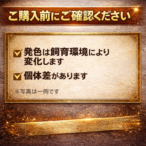 KS-K89I-0XFT