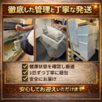 KS-K89I-0XFT
