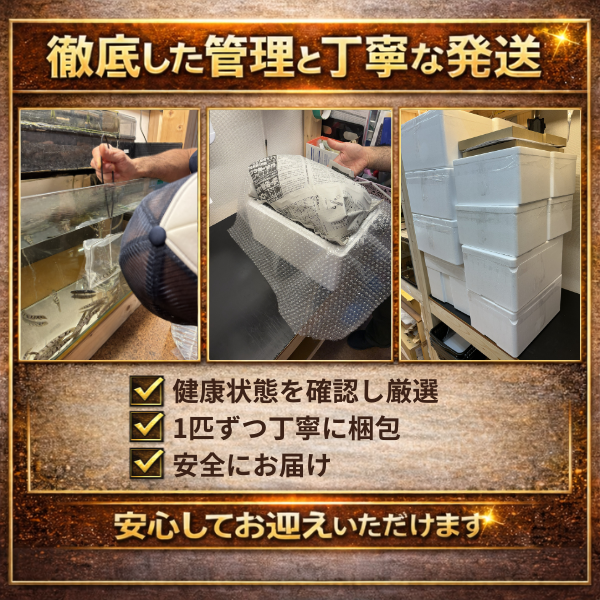 KS-K89I-0XFT