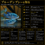 FISH-BD-01