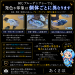 FISH-BD-01