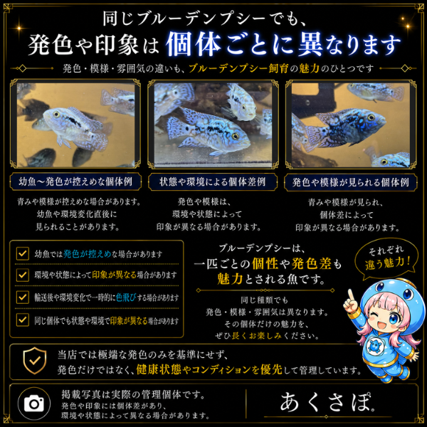 FISH-BD-01