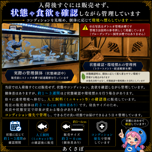 FISH-BD-01