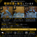 FISH-BD-01