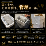 FISH-BD-01