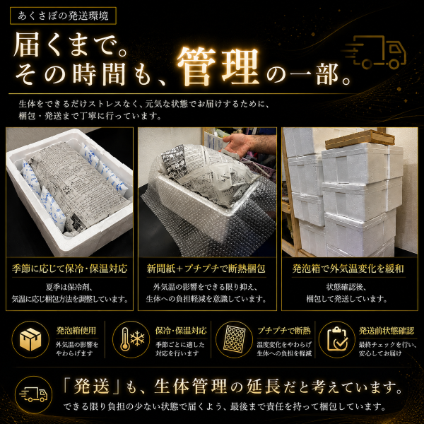 FISH-BD-01