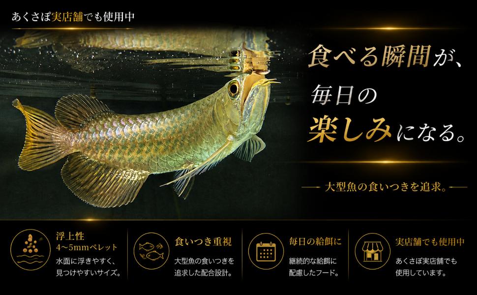 食いつき