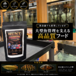 HUNT-200