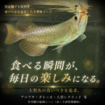 HUNT-50