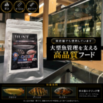 HUNT-50